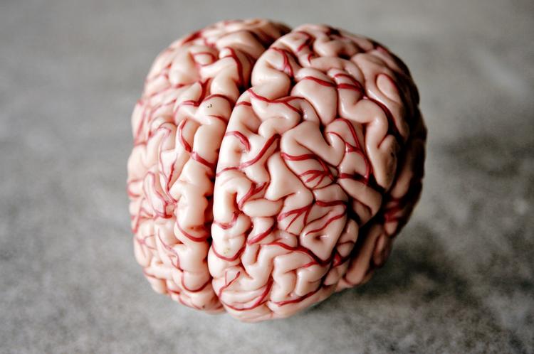 Center for Hjerneskade