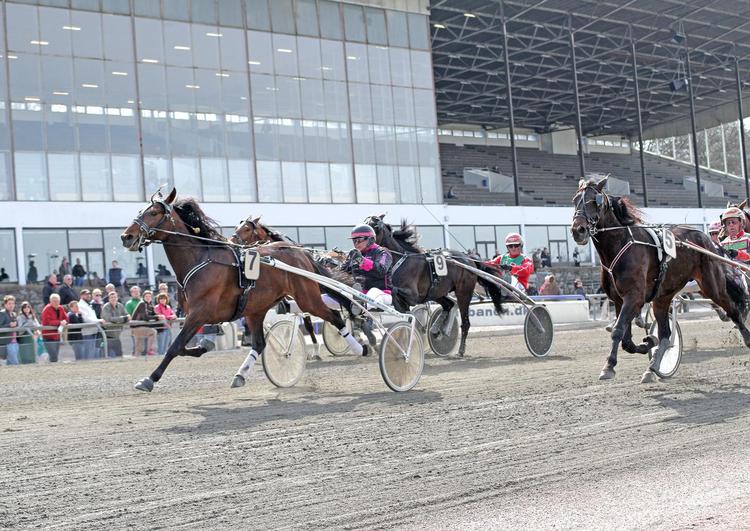 Trav. Osbourne (Arvid Olsen) vinder sin 7. sejr og matches for travderbyet. Indvendig bliver Omar Pelle (Nicolaj Andersen) nr. 2. 