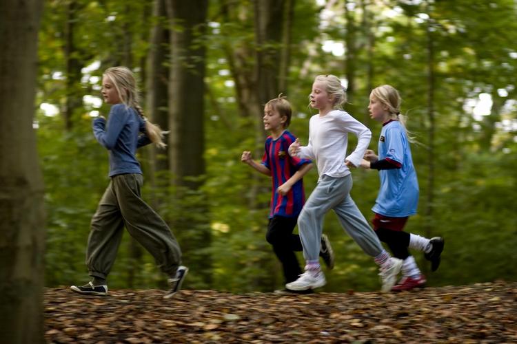 SKØNHEDSVÆRDI. Motionsløb kan sagtens foregå i en skov i stedet for på stenbroen. Hvad kan du anbefale? 