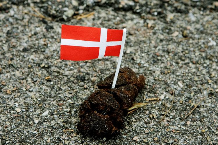 Arkivfoto. Hundelorte bør fjernes af hundeejerne ikke af husejerne, mener politiken.dk's læsere 