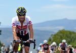 Armstrong Tour of Gila Cycling