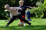 FODBOLDFEBER. For tredje år i træk er der fremgang oplever Dansk Boldspil Union fremgang i medlemstallet. 