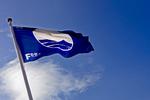 Badeflag