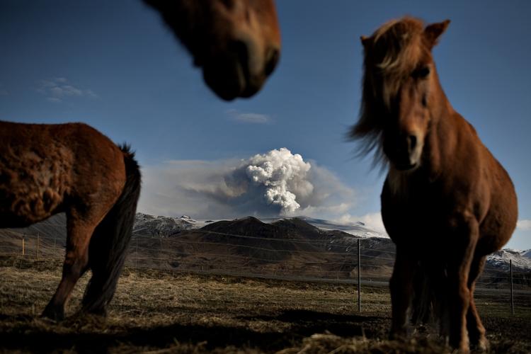 Asketrussel. Mængden af aske fra vulkanen Eyjafjallajökull er lige nu den største, der er set i Island. Asken udgør en sundhedstrussel for mennesker og dyr. 
