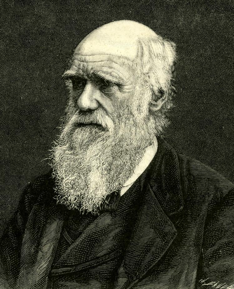 Darwin led af så meget eksem i ansigtet, at han ikke følte sig i stand til at barbere sig. Forskere mener dog ikke, at Darwin var degenereret. De antyder derimod, at sygdom blandt videnskabsmandens børn var et resultat af indavl. 