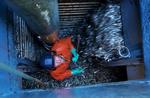 Rekordfiskeri. Omkring 75 danske fiskerbåde har rekordstore fangster med hjem tur efter tur. (Arkivfoto) 