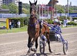 FAVORIT. Den kæmpestore franskmand Nimrod Borealis med Matthieu Abrivard  vil tage revanche i Oslo Grand Prix søndag. 