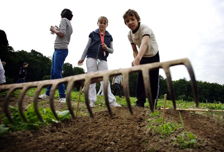 Børn kan sagtens lære at plante og passe en lille have. og som regel synes de det er sjovt. Arkivfoto. 