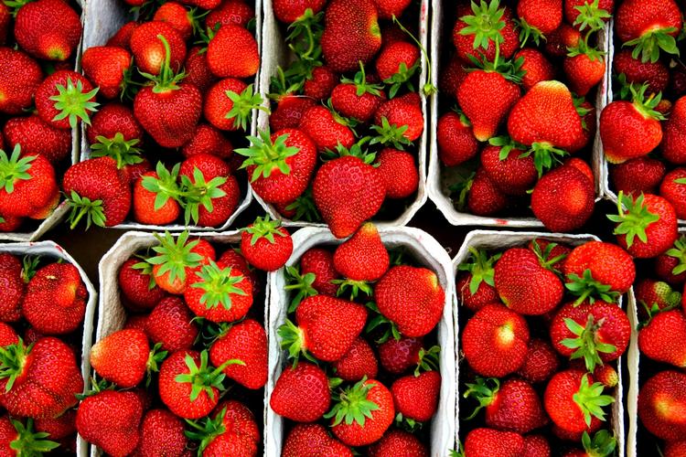 Hvis frugten er høstet på et godt tidspunkt og samtidig nænsomt behandlet, er vitaminindholdet i frosen frugt lige så højt som i frisk. 