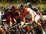 spurtsejr. Feltets stærkeste sprinter lige nu, tyske Andre Greipel, vandt 18. etape og dermed den sidste store spurtetape inden bjergene. Arkivfoto. 