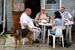 Kolonihaven. Det er Bullers hus, og det er Bullers venner og Bullers hund, en hund, der bærer et navn, som er for nuttet til, at Buller vil have det i avisen. Det er Buller i vest og solbriller. Han er parat til at modtage eventuelle natlige gæster med sit baseballbat. 