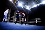 Fremgang. Det forstærkede danske bokselandshold er nu blandt bundesligaens fire bedste mandskaber. Arkivfoto. 