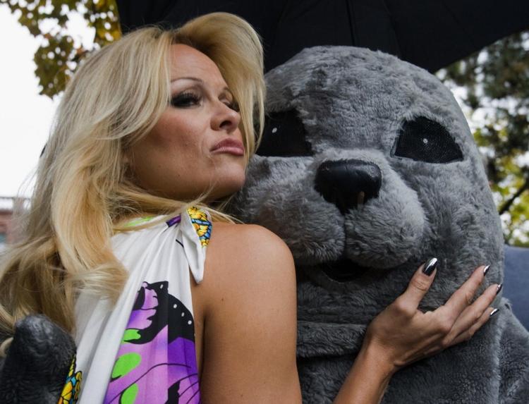 anti-pels. Pamela Anderson omfavner en sæl-maskot i forbindelse med en anti-sælpelskampagne i Canada. 