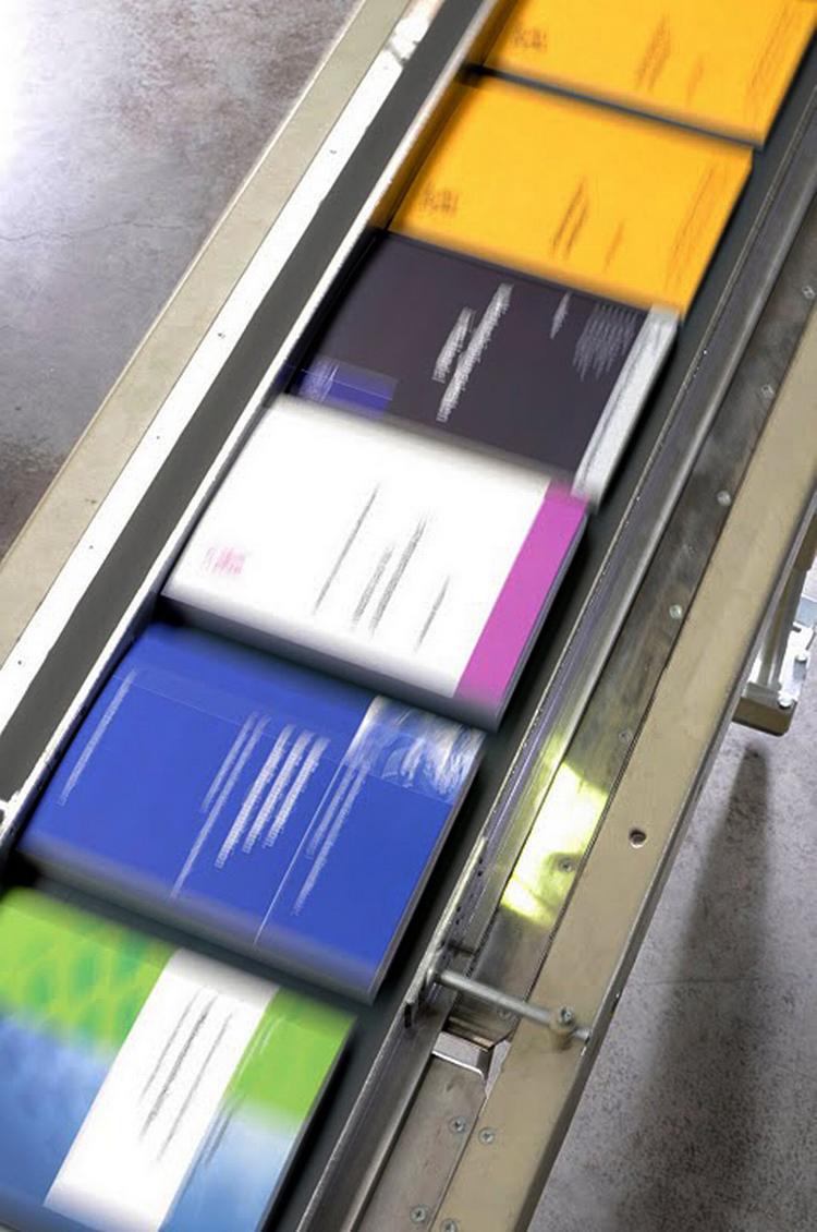 Ni ud af ti af de voksne adspurgte fortæller, at de køber mindst én bog om året. Dog mener Boghandlerforeningens direktør, at statistikken ikke er et retvisende billede. 