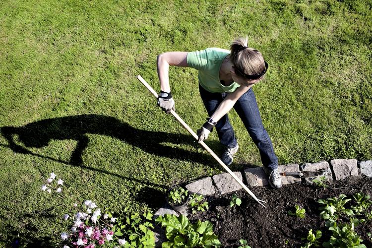 Langt de fleste unge danskere har aldrig lært at passe en køkkenhave, men de klør på alligevel. Det gælder blandt andet Malene Dissing, som er i gang med lugejernet her. 