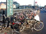 Det er ulovligt at låse sin cykel fast til skilte og bænke. Københavns Kommune arbejder på at skabe bedre parkeringsforhold for byens cyklister. 