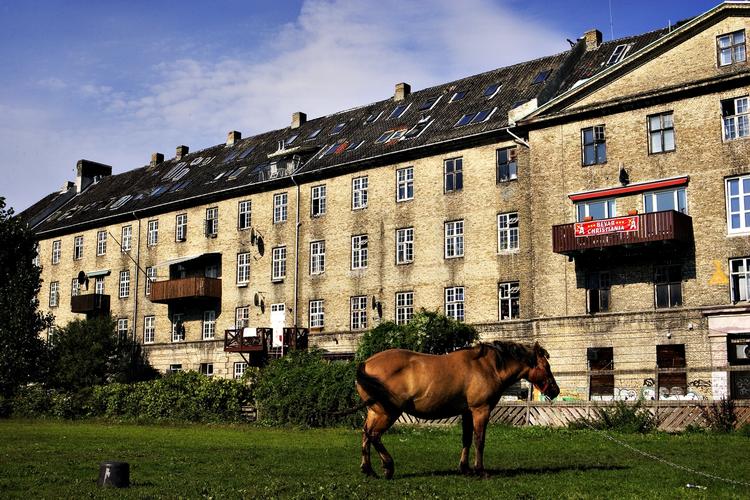 KASERNEBYGNING. Den gamle hovedbygning, Fredens Ark, er hårdt medtaget af manglende vedligeholdelse. Det er tvingende nødvendigt med en renovering. Arkivfoto. 