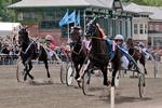 Nu Pagadi (Erik Adielsson) vinder med lethed Copenhagen Cup foran Spring Erom og yderst angribende Classic Grand Cur (Steen Juul). 