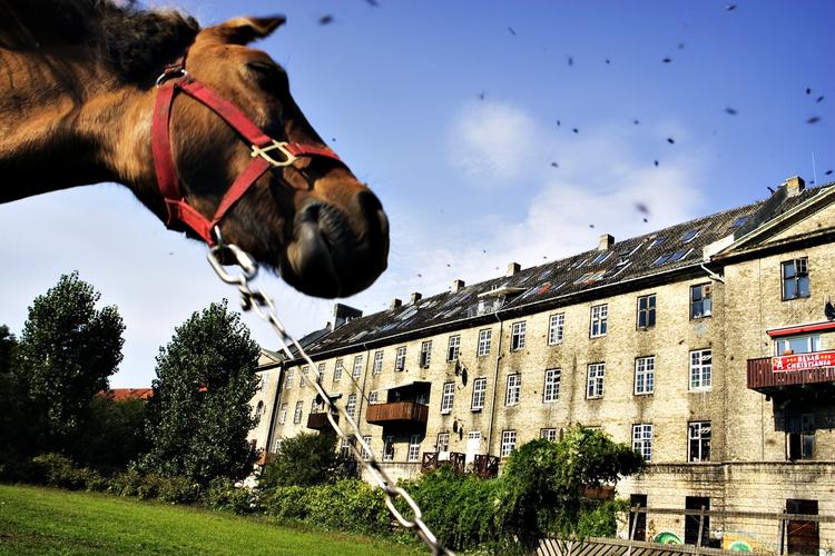 Hushandel. Christiania vil nu overveje, om de vil købe Fredens Ark og renovere bygningen., 