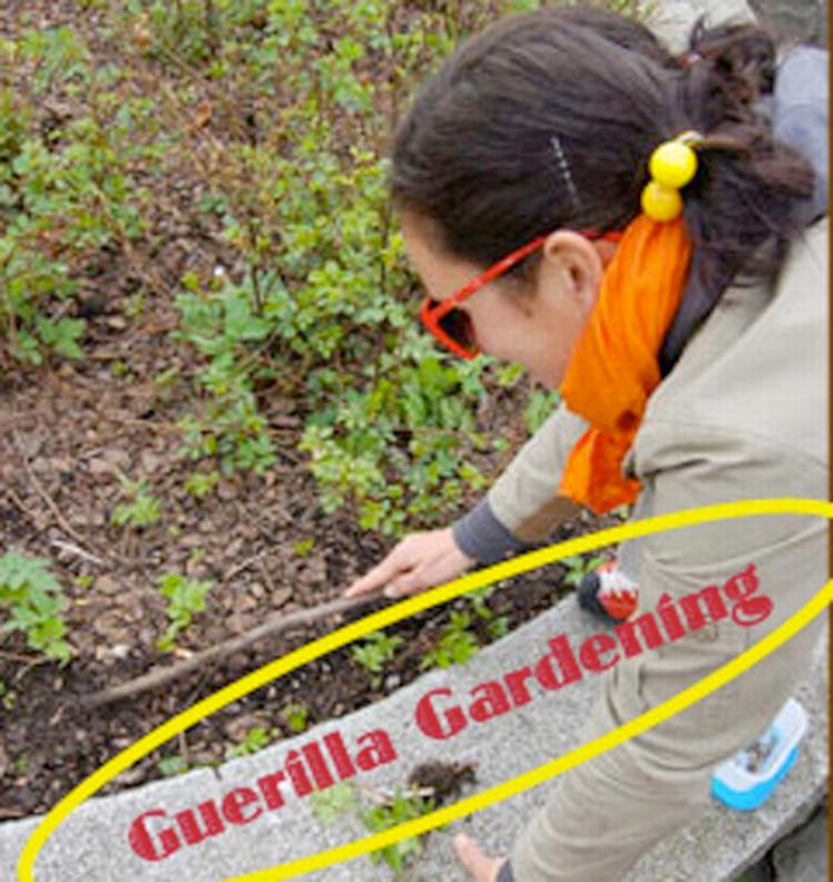 Grønne fingre? Initiativet Guerilla Gardening opfordrer til en genforhandling af byens rum gennem havearbejde. Alle er inviteret til at deltage. 