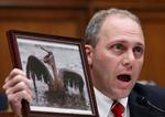 Frustration. Kongresmedlem Steve Scalise under afhøringen af BP-chefen Tony Hayward. 