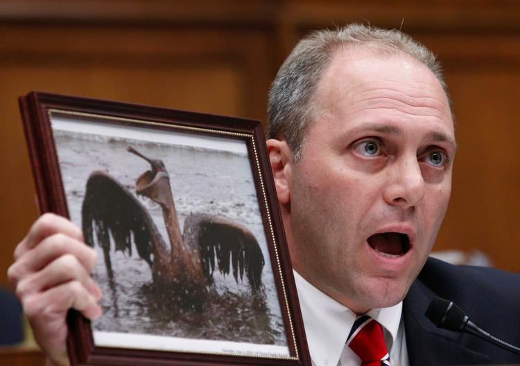 Frustration. Kongresmedlem Steve Scalise under afhøringen af BP-chefen Tony Hayward. 
