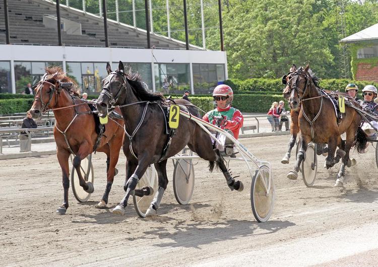 Steen Juuls debutvinder Sugar er datter af to internationale travstjerner. 