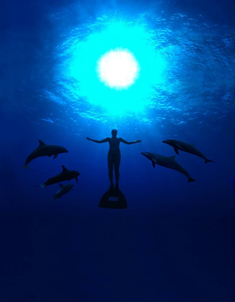 Delfinfilm. Dokumentarfilmen 'The Cove', der vandt en Oscar for snuden af Anders Østergaards 'Burma VJ' tidligere i år, er blevet droppet af flere japanske biografer i Tokyo og Osaka på grund af frygt for demonstrationer 