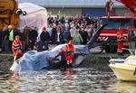 HVALBJÆRGNING. Efter flere timers arbejde lykkedes det søndag aften at bjærge den 30 ton tunge finhval i land ved havnen i Vejle. 