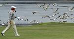 vinder. Nordirske Graeme McDowell på 18. hul i fjerde runde af US Open. 