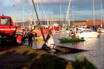 finhval. Den tog fusen på forskerne, finhvalen fra Vejle Fjord. Den var ikke en hun som først antaget, men en han, viser de seneste undersøgelser. 