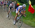 SKADET. Tom Boonen kommer ikke til at køre Tour de France i år. 