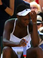 DRONNINGEFALD. Venus Williams kommer ikke til at forsvare sin titel ved dette års Wimbledon. 
