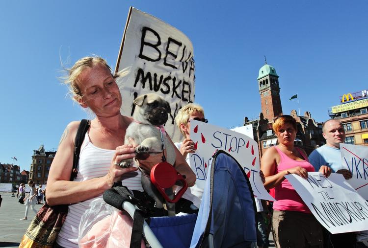 DEMO. Hundevenner demonstrerede i dag mod den nye hundelov, der forbyder 13 såkaldte kamphunde i Danmark. 
