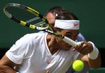 8. sejren i Wimbledon var Rafael Nadals gevinst nummer otte i de fire grandslamturneringer. Ud over de fem sejre i French Open har Nadal nu vundet to gange i Wimledon og en enkelt gang i Australien Open. 
