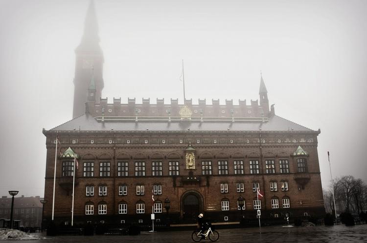 UNDERSØGELSE. Nu tilslutter S, SF og Enhedslisten sig kravet om en tilbundsgående undersøgelse af den københavnske hjemmepleje. 