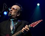 Elvis Costello som vi kender ham. Arkivfoto. 