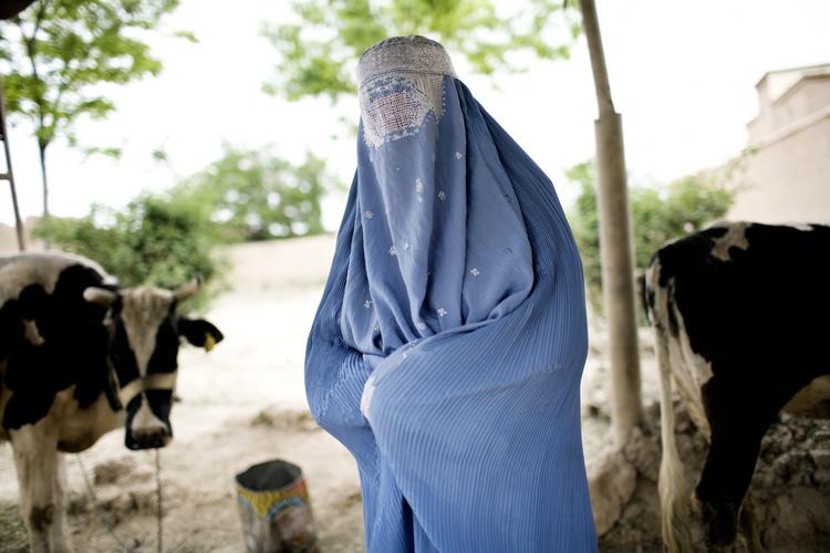 BANDLYST. Et flertal af de franske politikere ønsker burkaer som denne ud af det offentlige rum. Arkivfoto. 