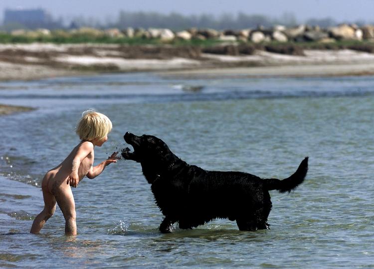 Weekendvejr. Vandhunde af både den ene og anden slags har endnu et par dage til at nyde sommeren. Arkivfoto. 