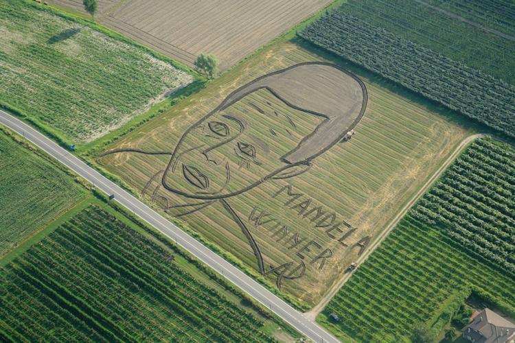 HELT. Som en hyldest lavede en kunstner et portræt af Nelson Mandela på en mark i Italien i forbindelse med verdensmesterskaberne i fodbold. 