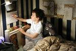 Nedtur. Lille-Per og hans familie har solgt over 400.000 billetter. Filmen er hermed den eneste danske, der har solgt over 200.000 billetter i år.