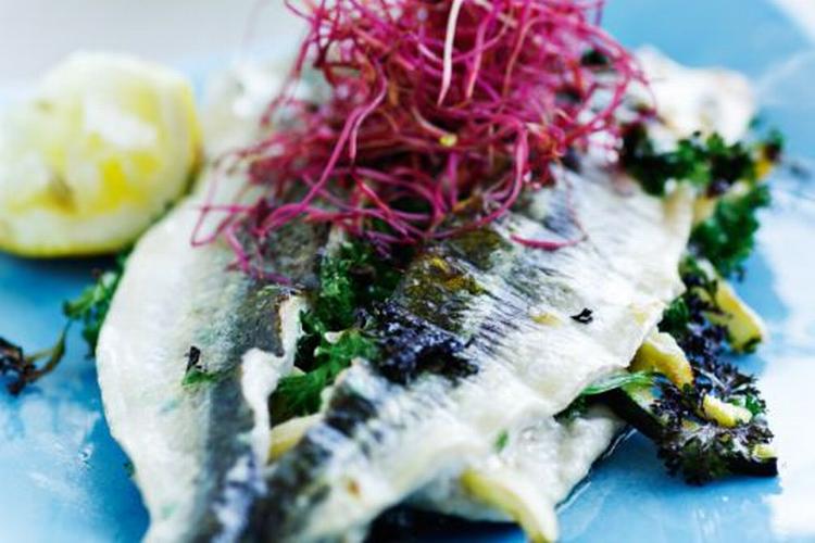 Grillet_makrel_sild_hornfisk