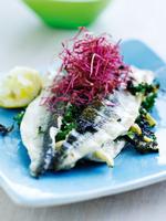 Grillet_makrel_sild_hornfisk