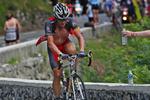 stegt. Lance Armstrong under årets Tour de France, hvor den mangedobbelte vinder i år havde lidt sværere ved at følge med. Arkivfoto. 