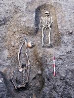 Taberne. Når en York-gladiator dødeligt såret faldt til jorden i kamp, fik han ofte kappet hovedet af. Det var nådesstødet - coup de grâce. 