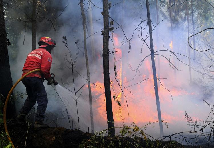 Slukning. Mere end 29 brande hærger i Portugal. 