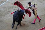 Tyrefægtning. David Fandilla eller 'El Fandi' udfører en af sine manøvre i Cataloniens eneste tyrefægtningarena, La Plaza de Los Toros Monumental i Barcelona. Det kan blive et hans sidste, da regionen i dag stemmer om et forbud. 