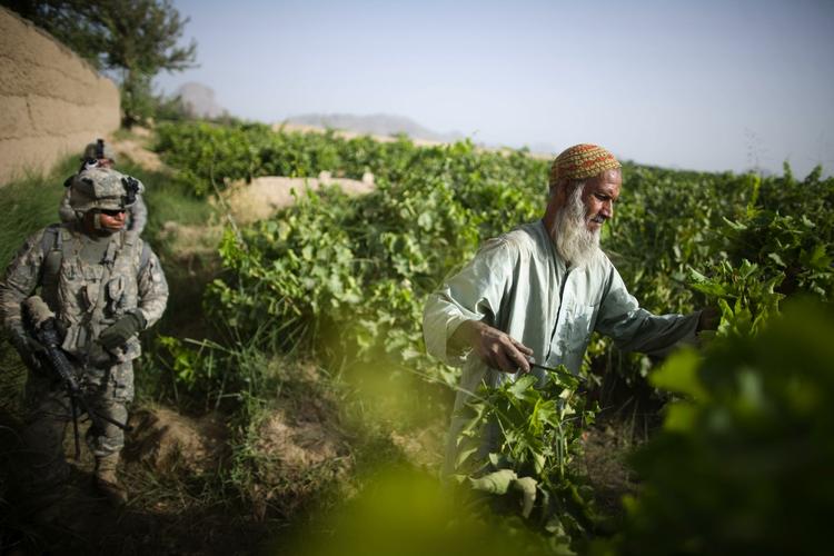 Fare. De lækkede Afghanistan dokumenter bringer lokalbefolkningen i fare, fordi navnene på de, der samarbejder med NATO-stykerne også er lækket. 
