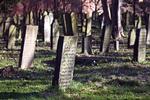 Siden 1940'erne har offentligheden været forment adgang til den mosaiske begravelsesplads, men tre søndage i august kan du på en guidet tur med Dansk Jødisk Museum høre historierne om de jødiske personligheder, der ligger begravet. 
