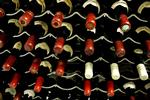Bacchus Vinbar